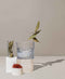 saffron & tobacco™ fragrance oil